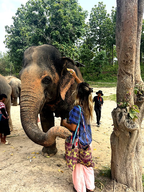 emelye.ender image ~ Altpins