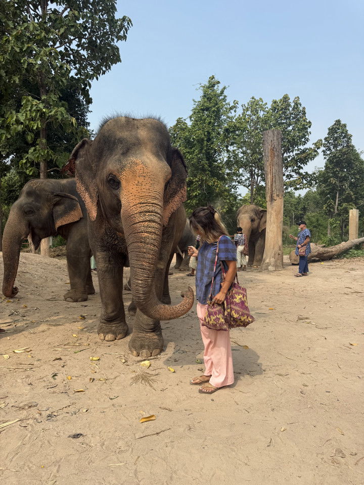 emelye.ender snapchat image archive image