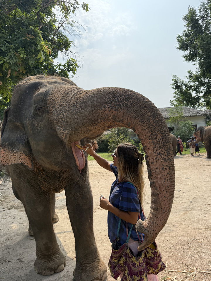 emelye.ender snapchat image archive image