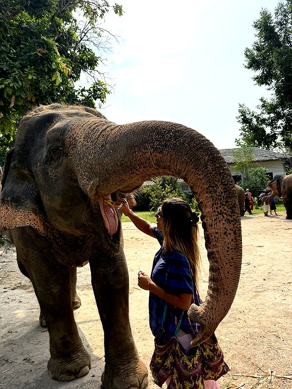 emelye.ender image ~ Altpins