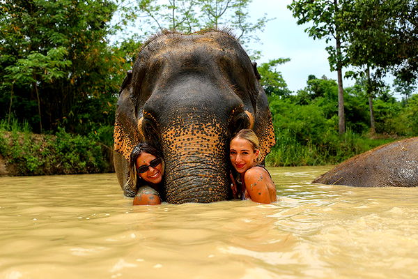 emelye.ender image ~ Altpins