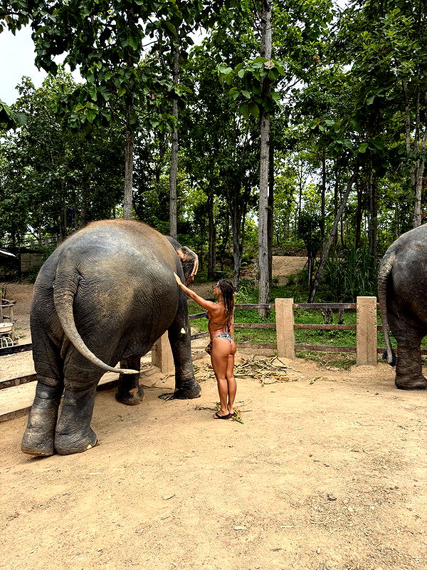 emelye.ender image ~ Altpins