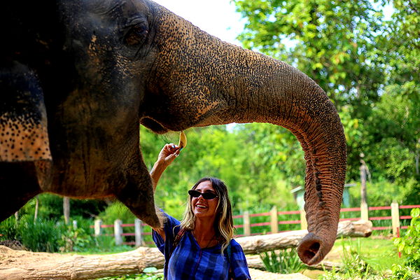 emelye.ender image ~ Altpins