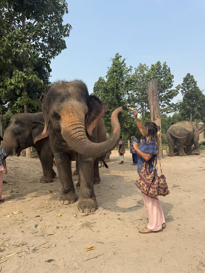 emelye.ender snapchat image archive image