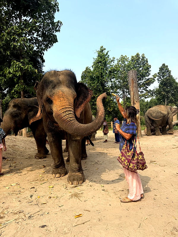 emelye.ender image ~ Altpins