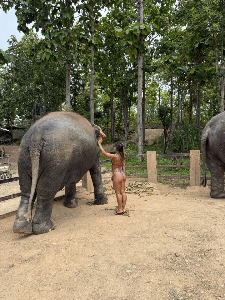 emelye.ender snapchat image archive image