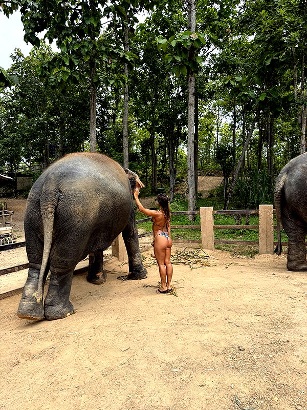 emelye.ender image ~ Altpins