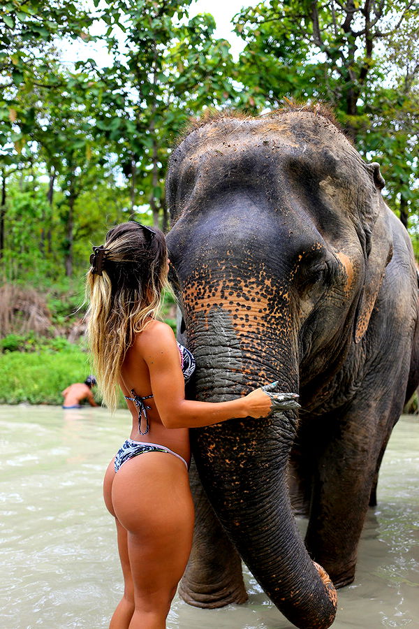 emelye.ender image ~ Altpins