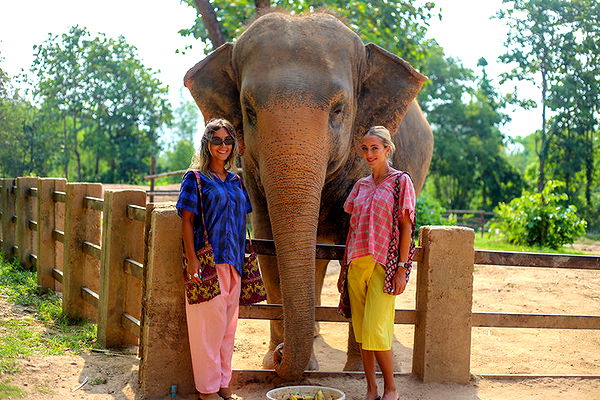 emelye.ender image ~ Altpins