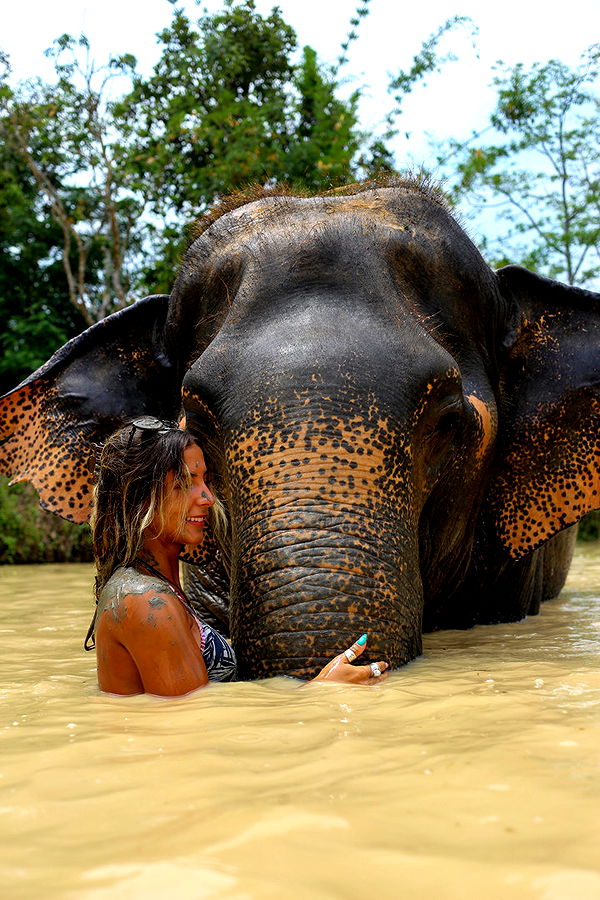 emelye.ender image ~ Altpins