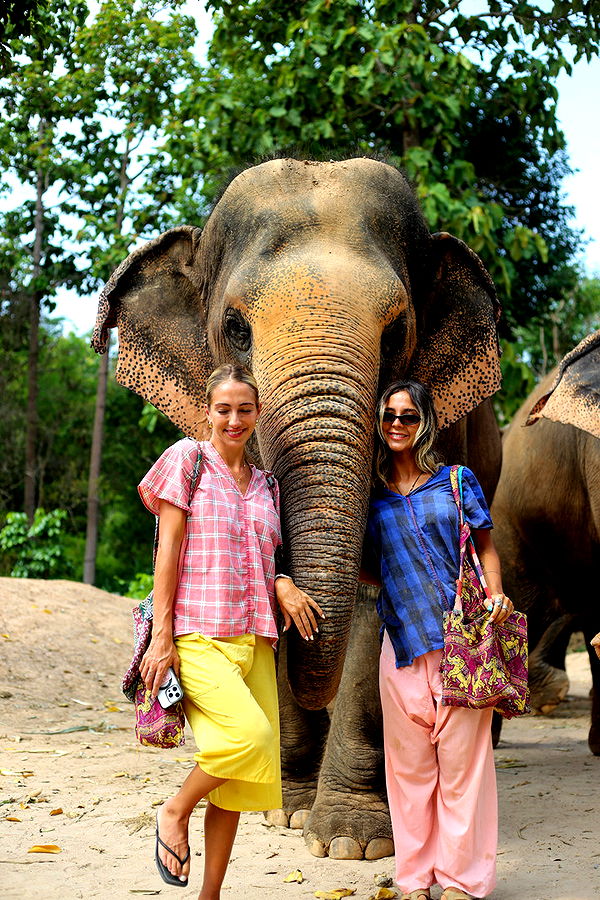 emelye.ender image ~ Altpins