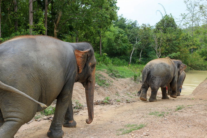 emelye.ender snapchat image archive image