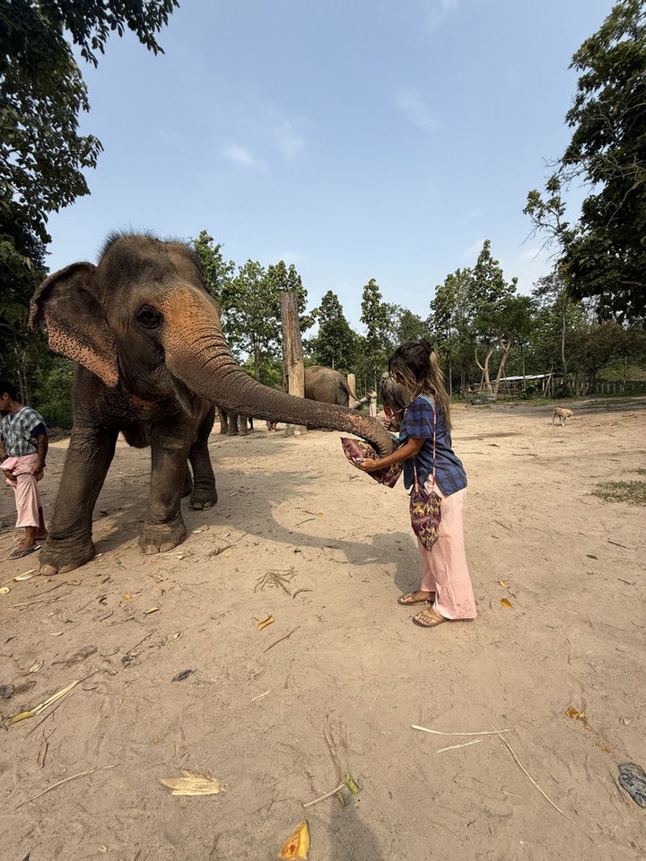 emelye.ender snapchat image archive image