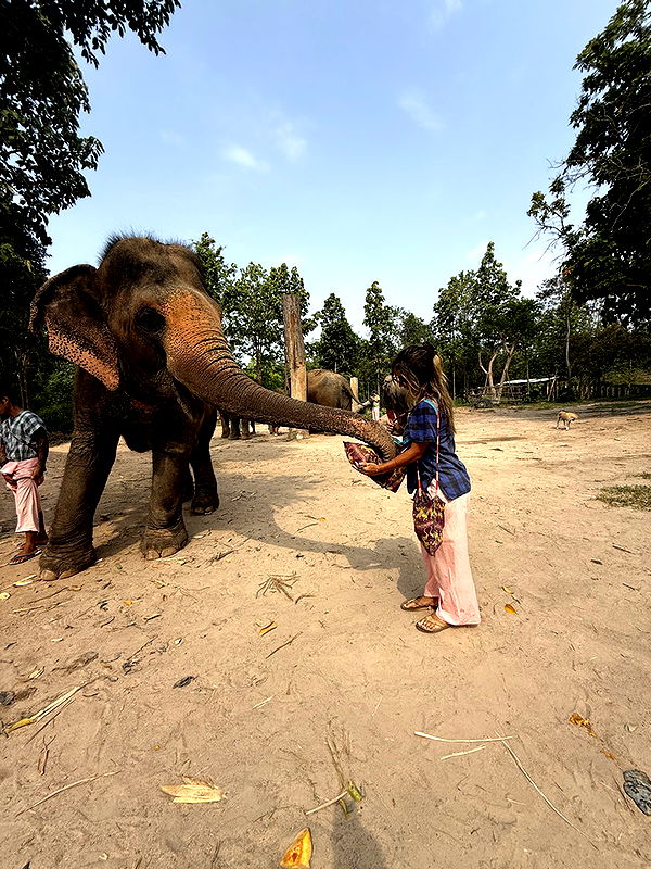 emelye.ender image ~ Altpins