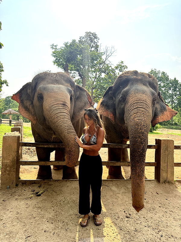 emelye.ender image ~ Altpins