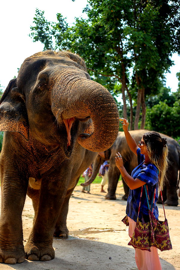 emelye.ender image ~ Altpins