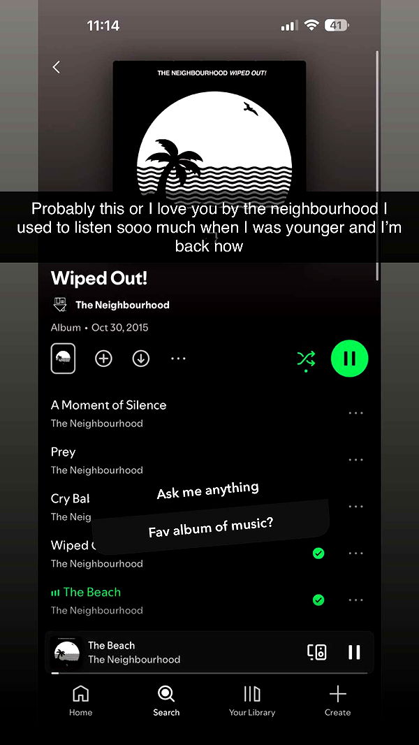 emelye.ender image ~ Altpins