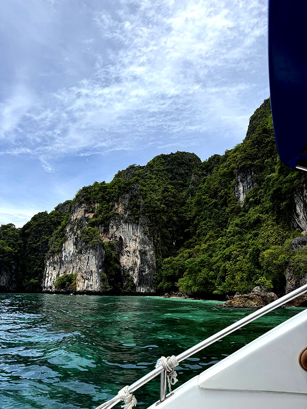 emelye.ender image ~ Altpins