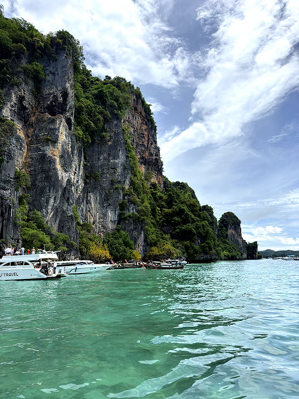 emelye.ender image ~ Altpins