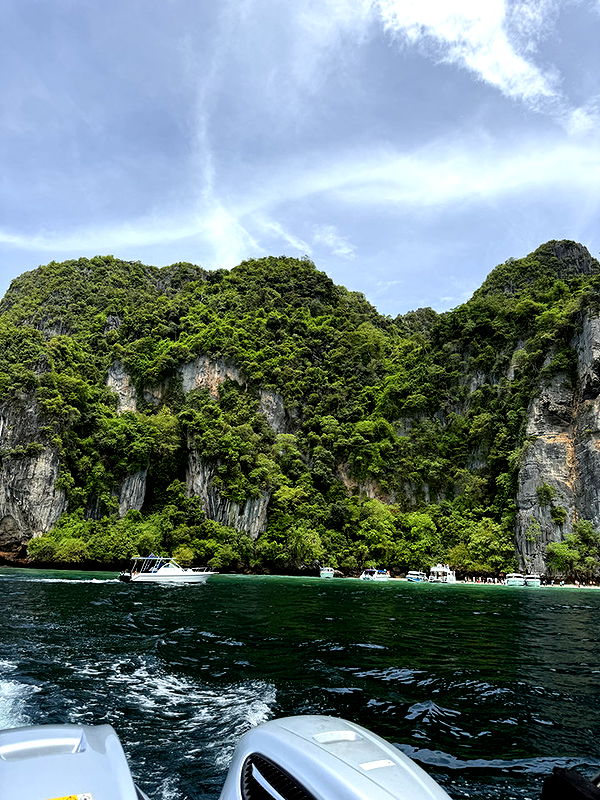 emelye.ender image ~ Altpins