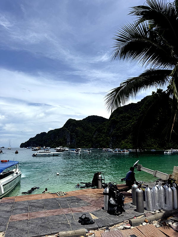 emelye.ender image ~ Altpins