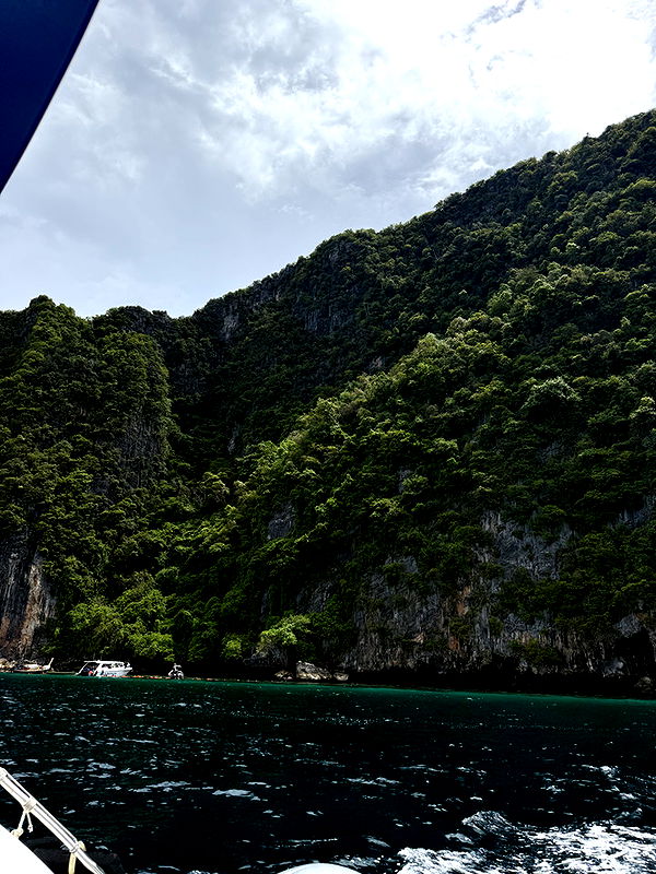 emelye.ender image ~ Altpins