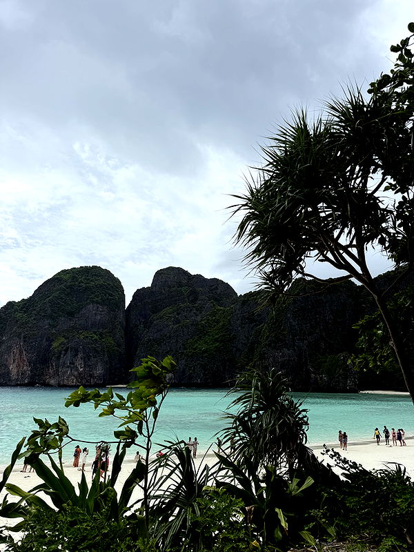 emelye.ender image ~ Altpins