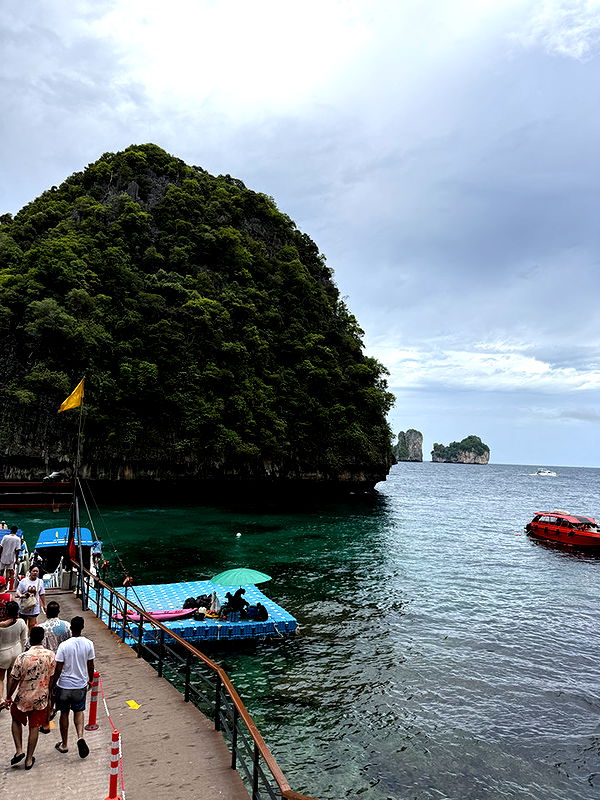 emelye.ender image ~ Altpins