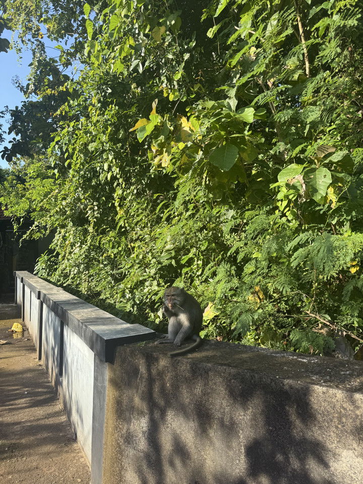 emelye.ender snapchat image archive image