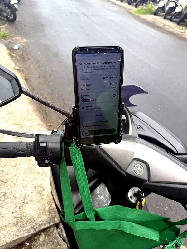 emelye.ender image ~ Altpins