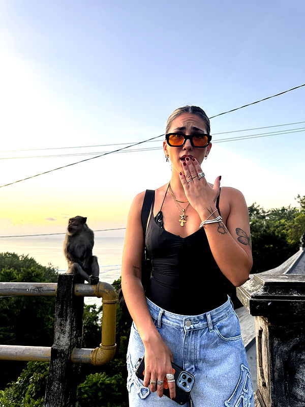 emelye.ender image ~ Altpins