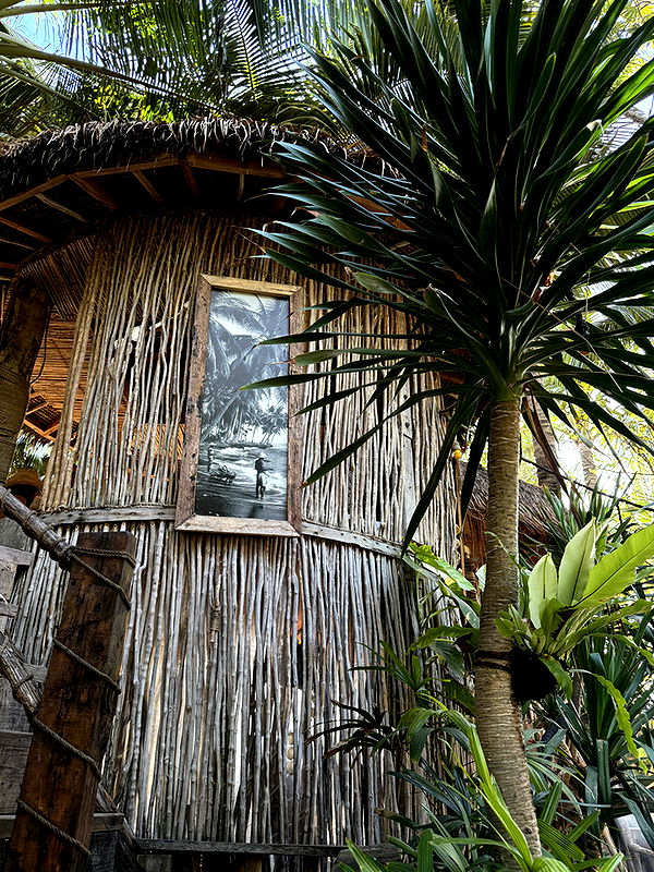 emelye.ender image ~ Altpins