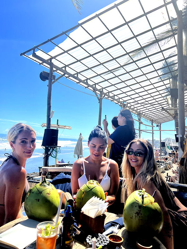 emelye.ender image ~ Altpins