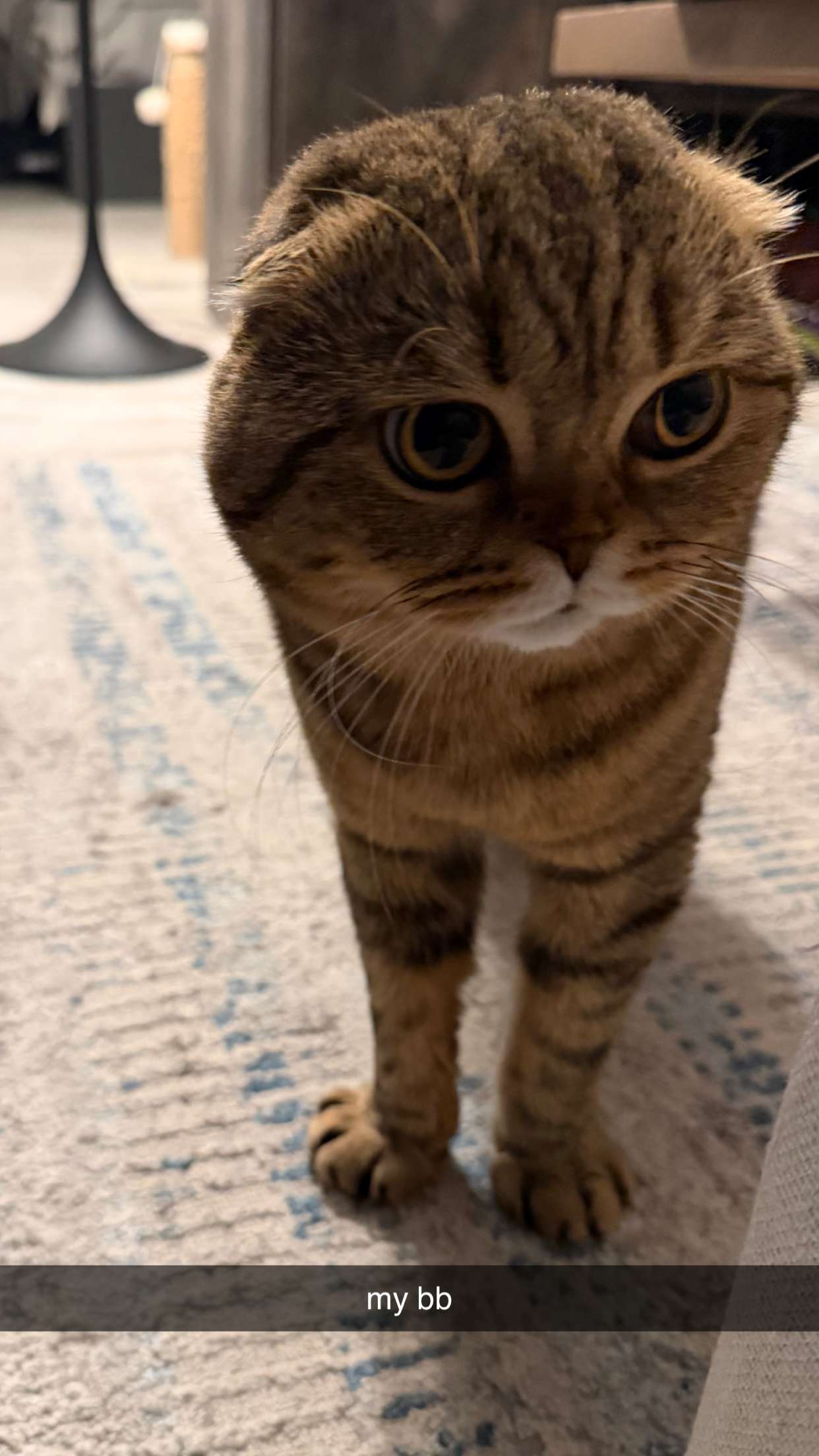 emelye.ender snapchat image archive image