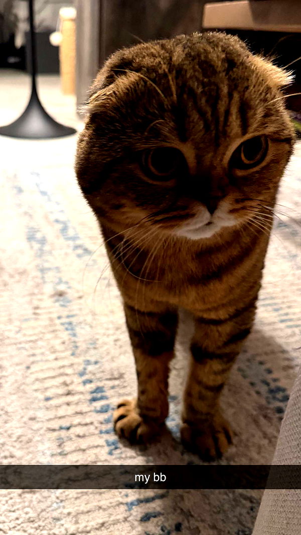 emelye.ender image ~ Altpins