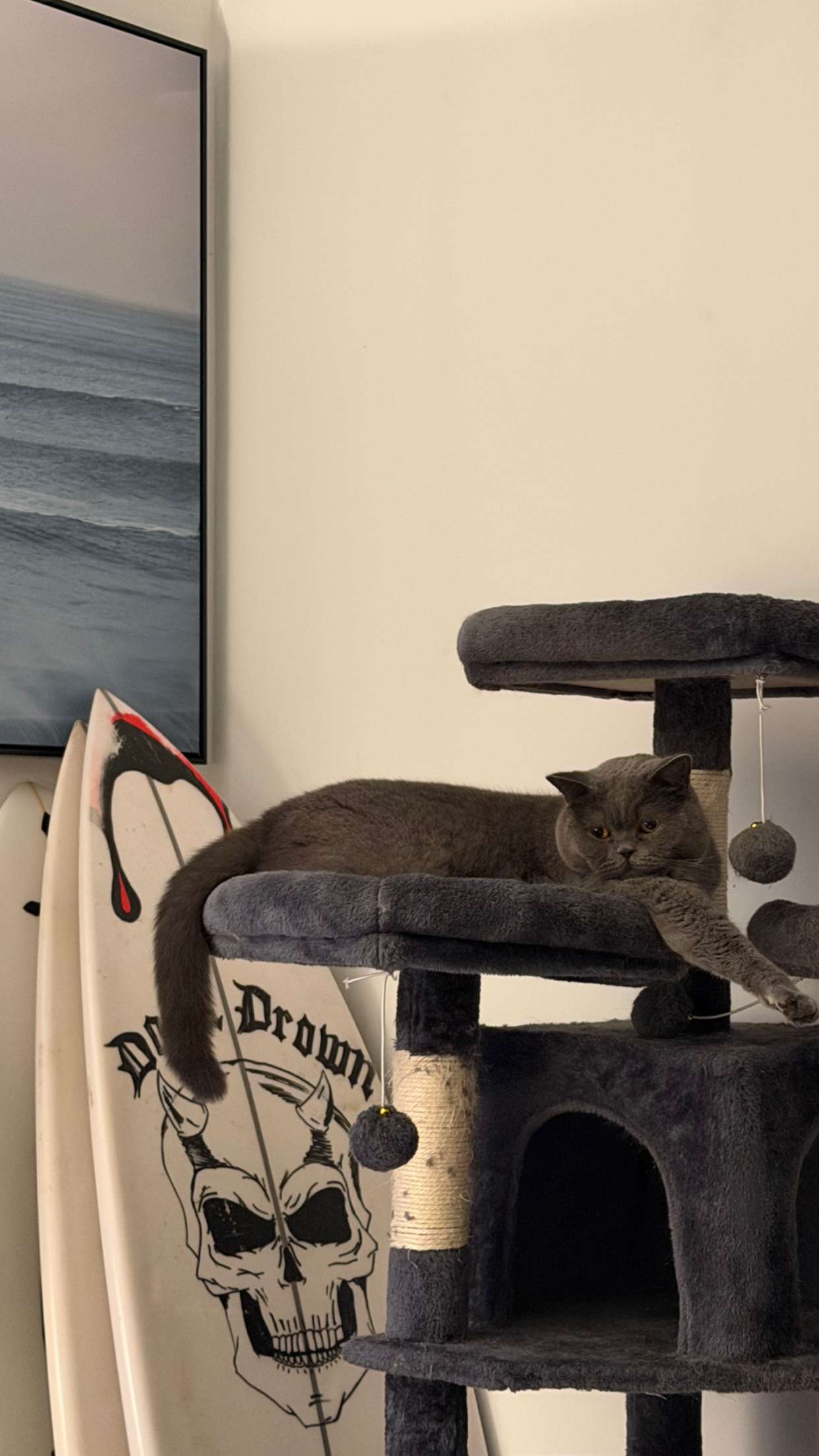 emelye.ender snapchat image archive image