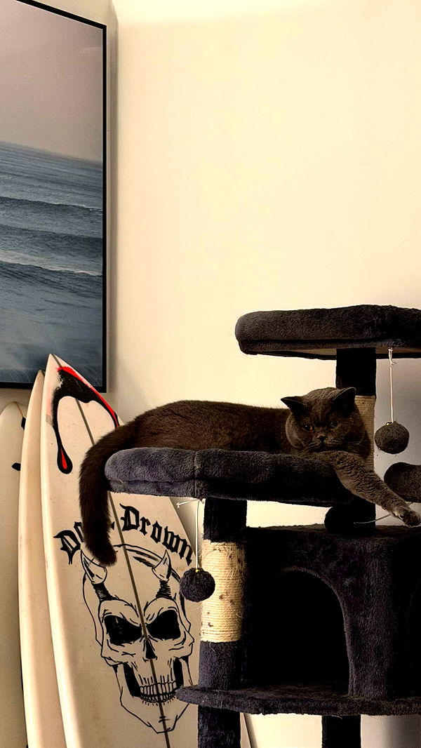 emelye.ender image ~ Altpins