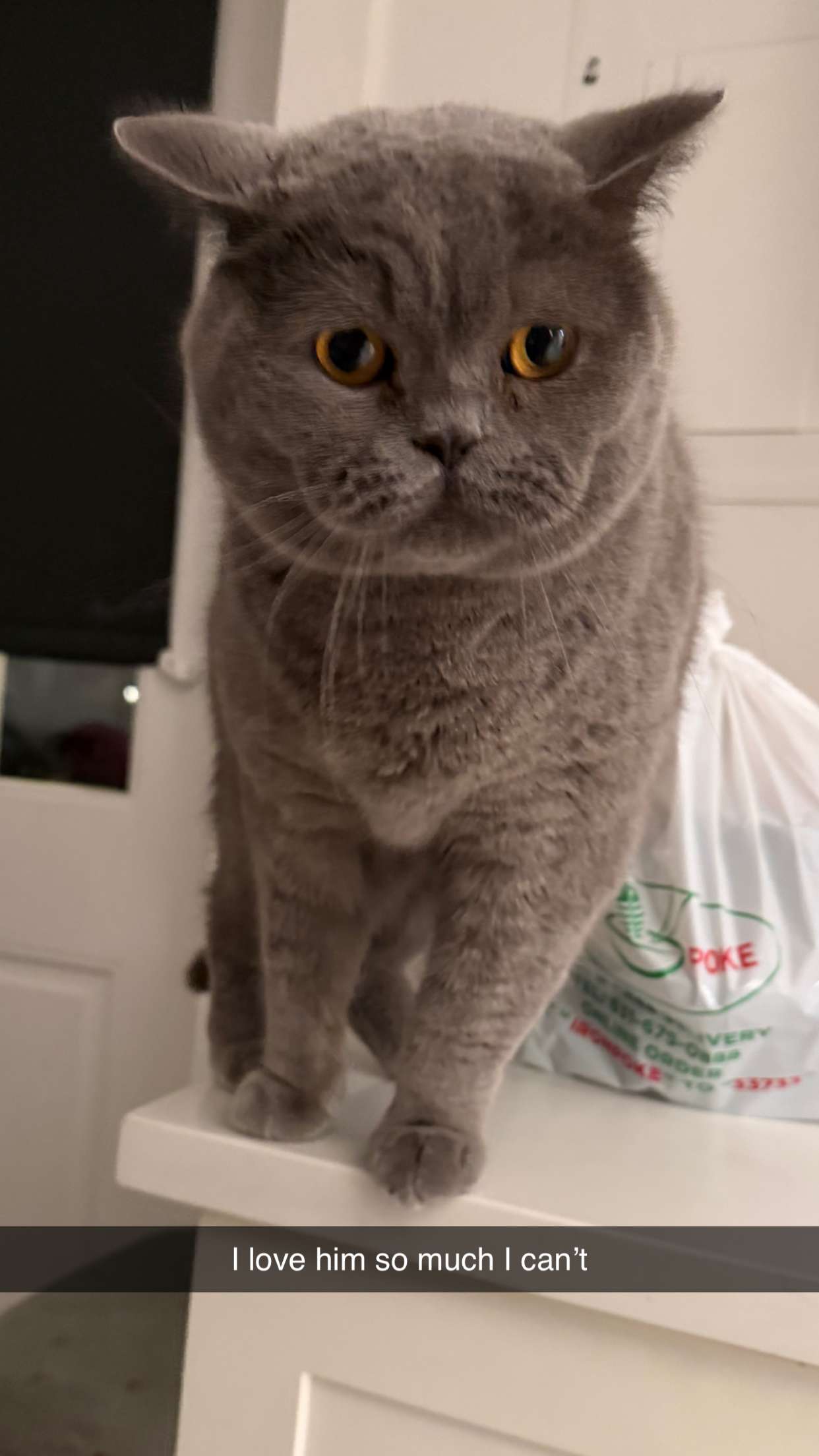 emelye.ender snapchat image archive image