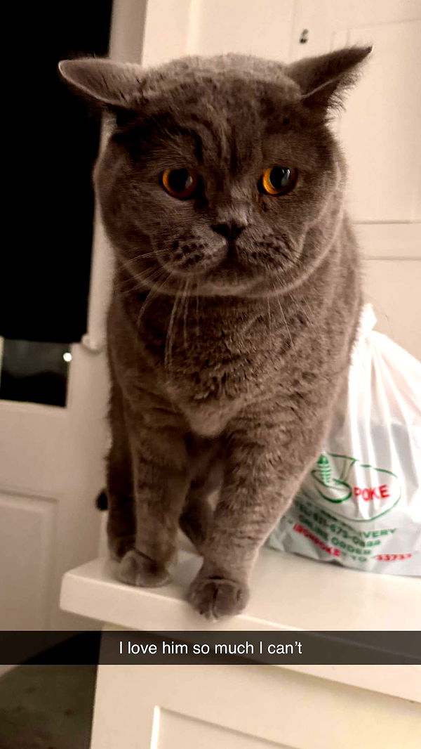 emelye.ender image ~ Altpins