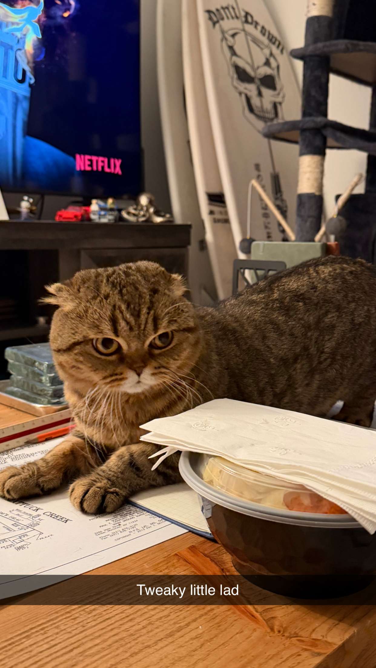 emelye.ender snapchat image archive image