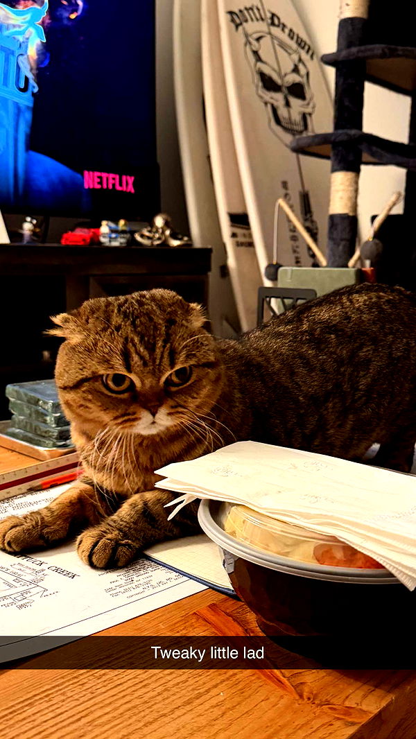 emelye.ender image ~ Altpins