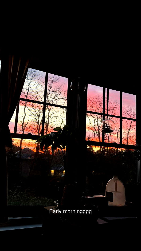 emelye.ender image ~ Altpins