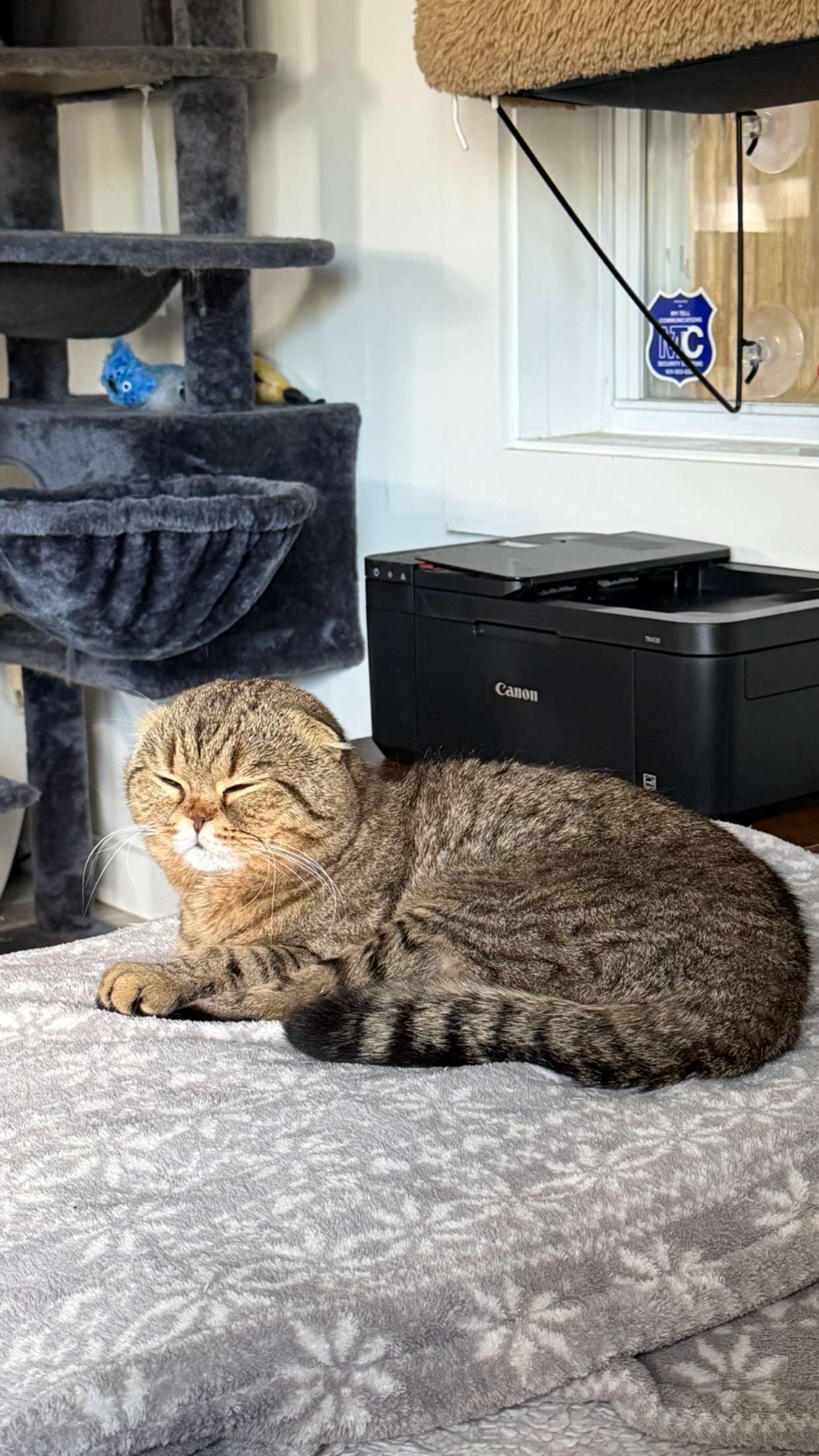 emelye.ender snapchat image archive image