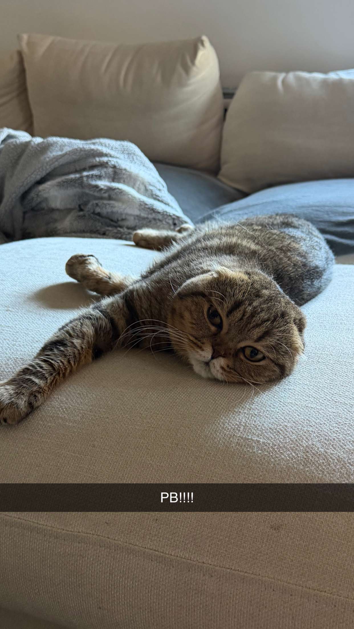 emelye.ender snapchat image archive image