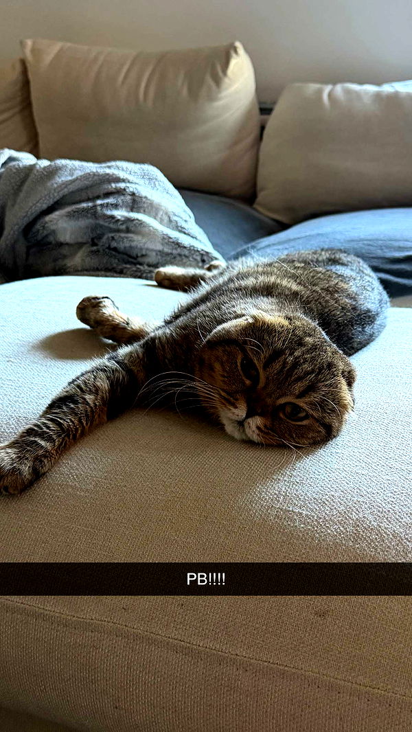 emelye.ender image ~ Altpins