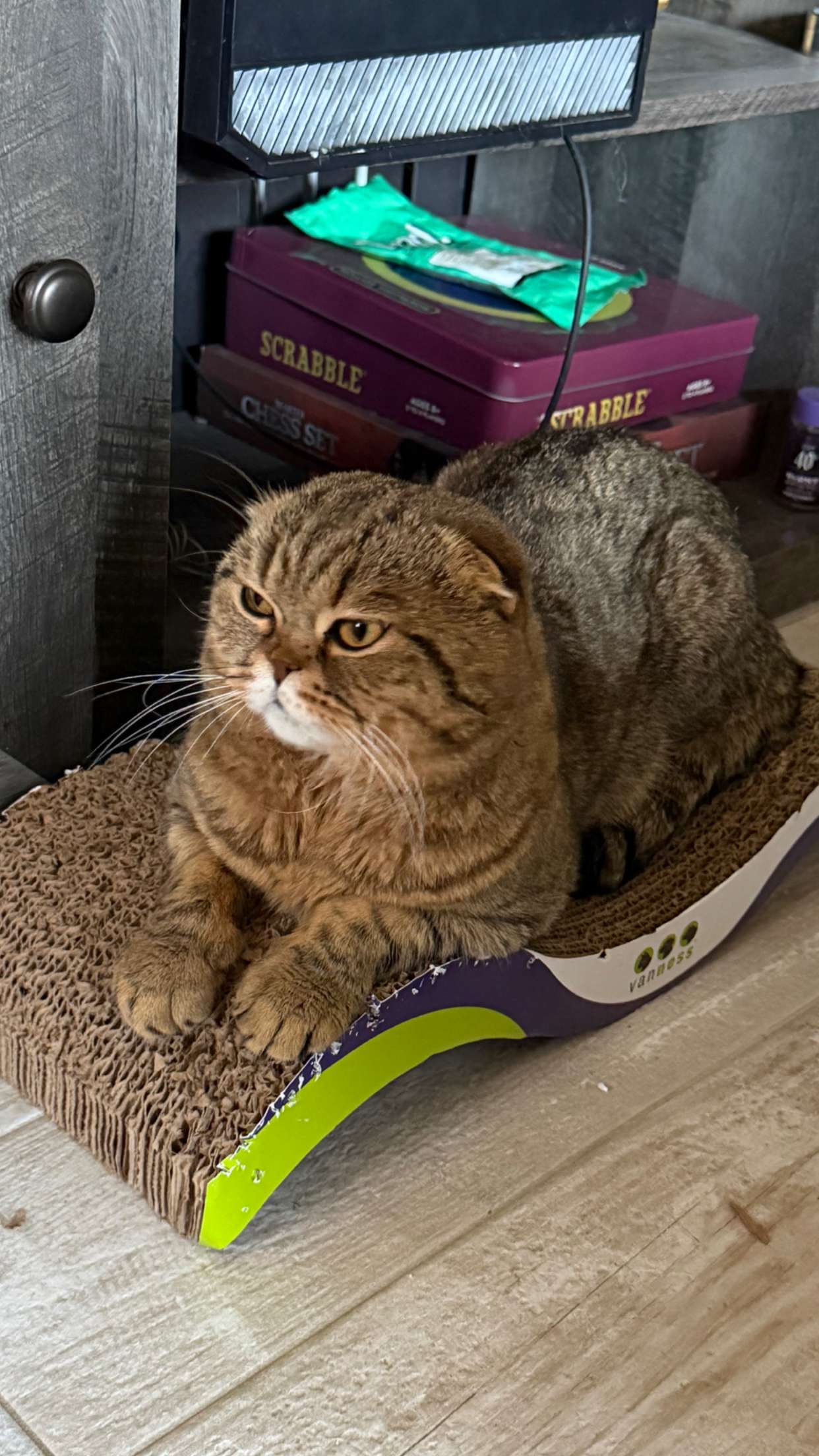 emelye.ender snapchat image archive image