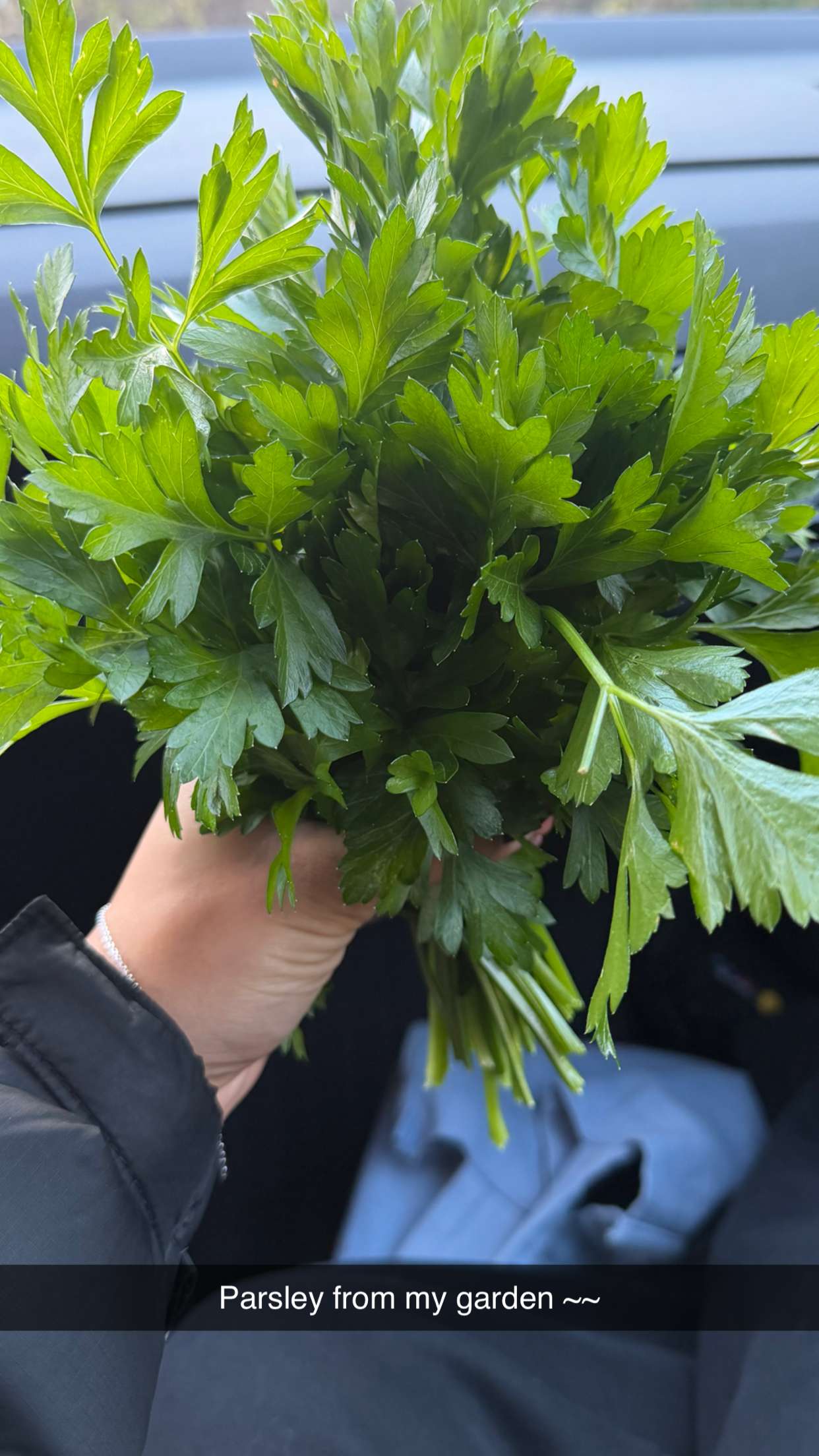 emelye.ender snapchat image archive image