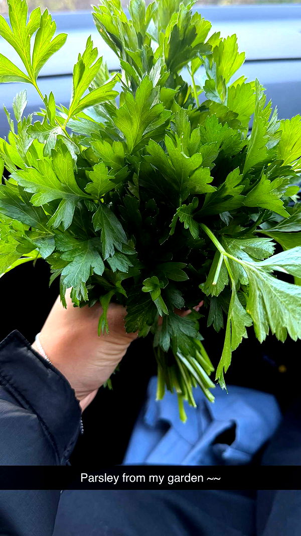 emelye.ender image ~ Altpins