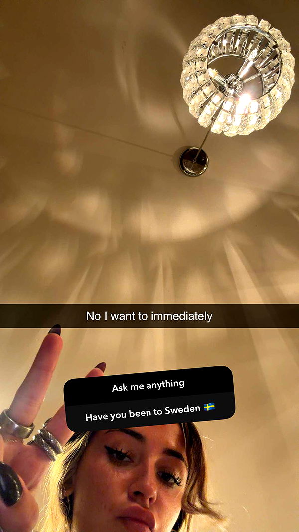 emelye.ender image ~ Altpins