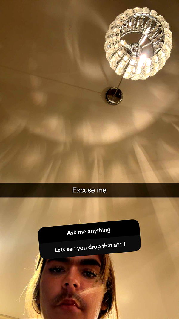 emelye.ender image ~ Altpins